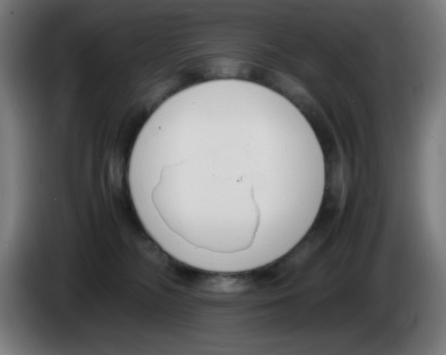 X0000086240326200704261921