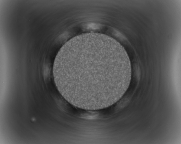 X0000086240328200704261921