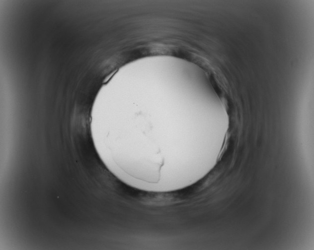 X0000086240329200704261921