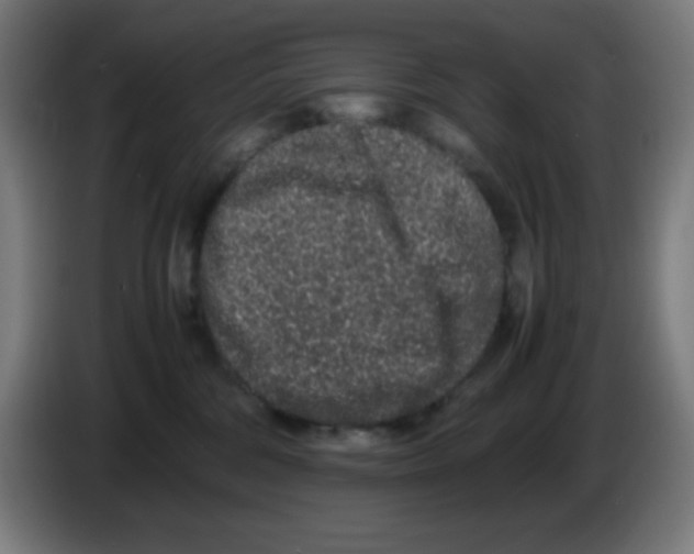 X0000086240330200704261921
