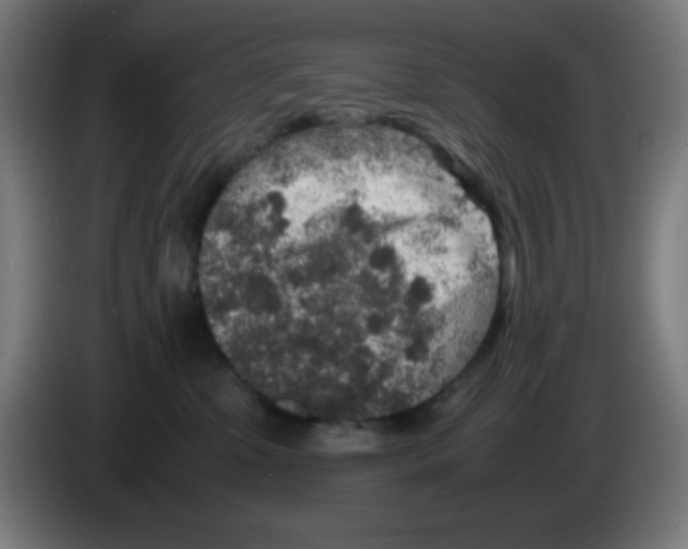 X0000086240331200704261921