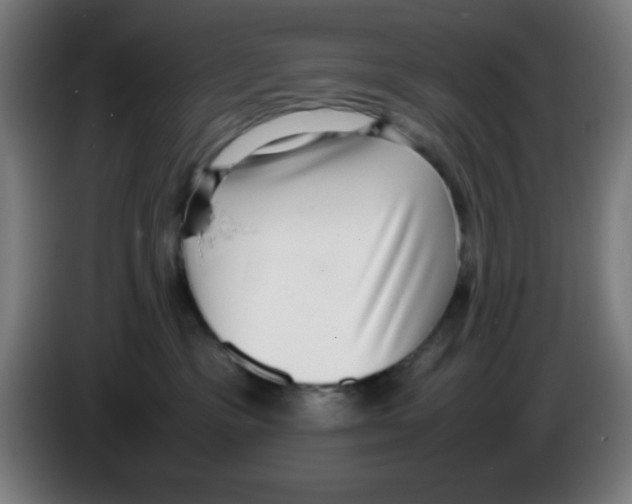 X0000086240333200704261921