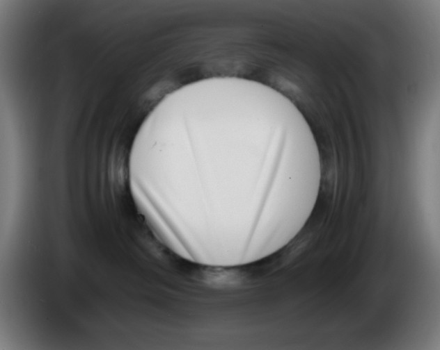 X0000086240334200704261921