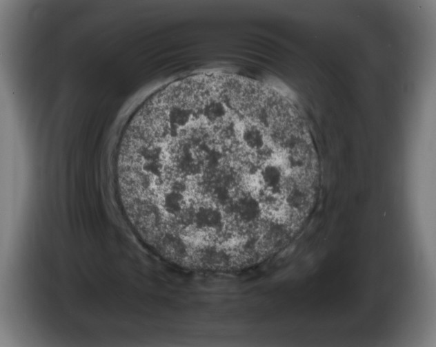 X0000086240337200704261920