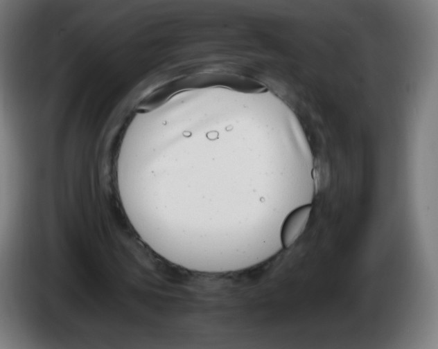 X0000086240339200704261920