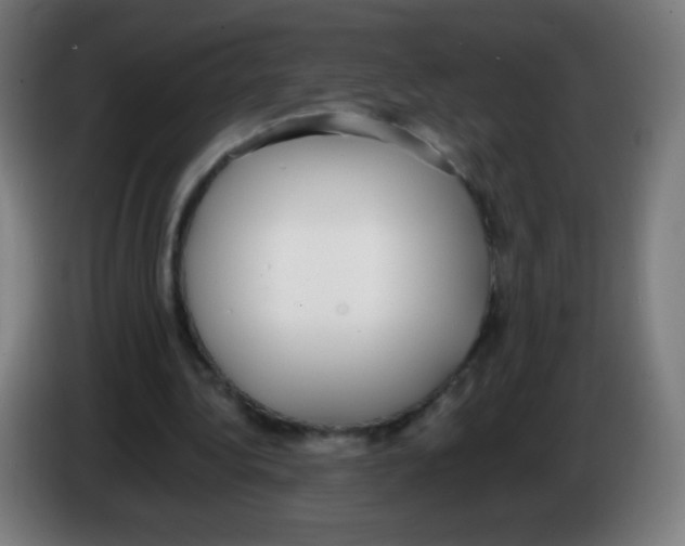 X0000086240340200704261920