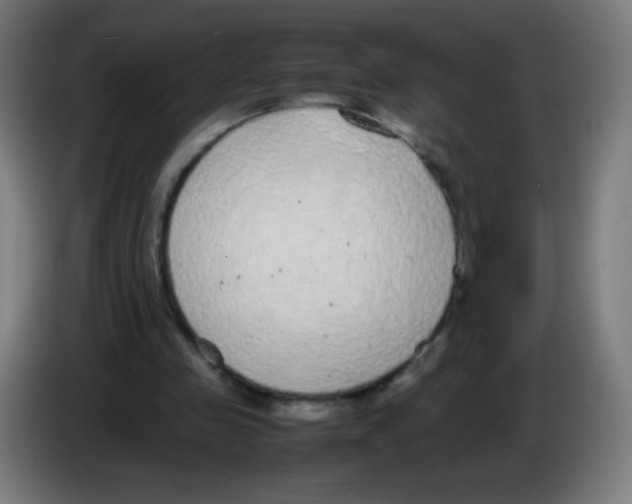 X0000086240341200704261920