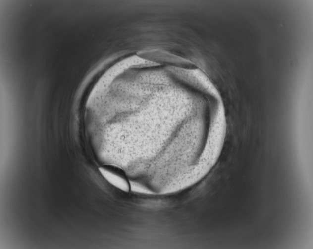 X0000086240342200704261920