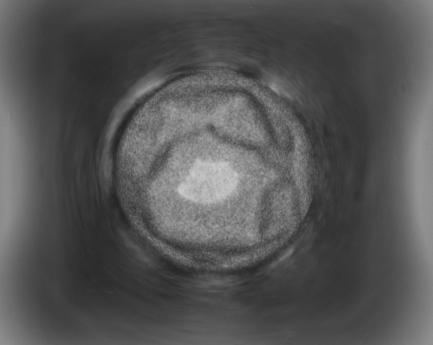 X0000086240343200704261920