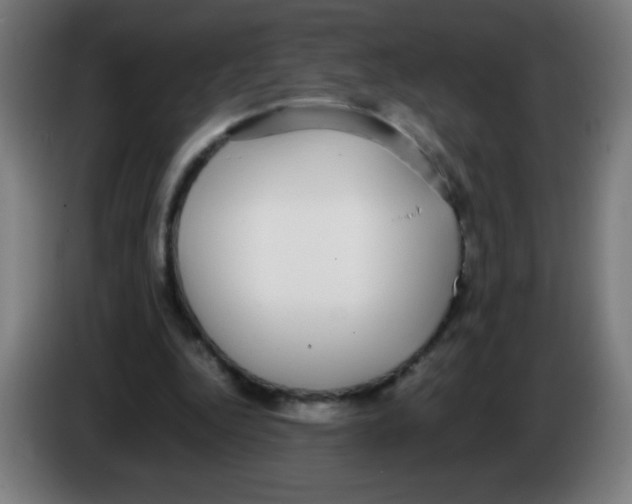 X0000086240344200704261920