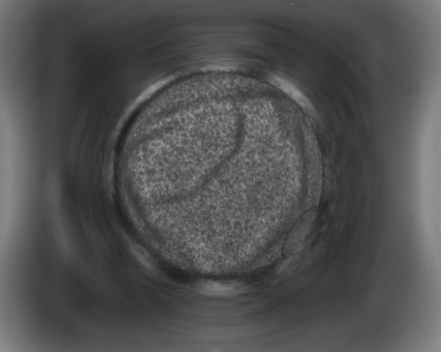 X0000086240346200704261920