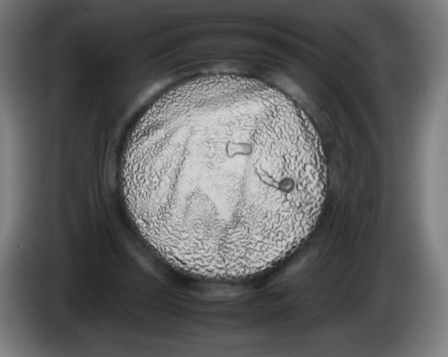 X0000086240347200704261920