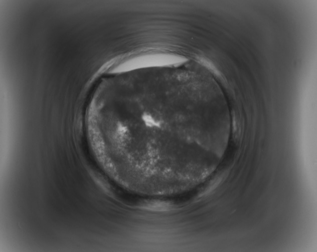 X0000086240348200704261920