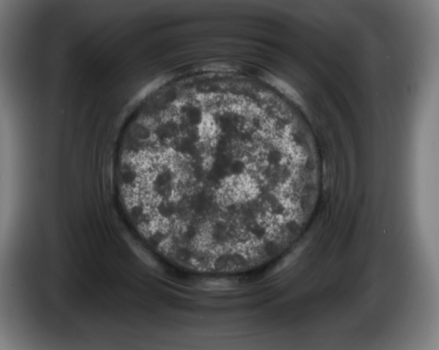 X0000086240349200704261920