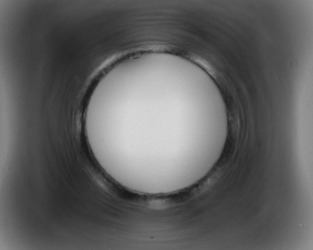 X0000086240350200704261920