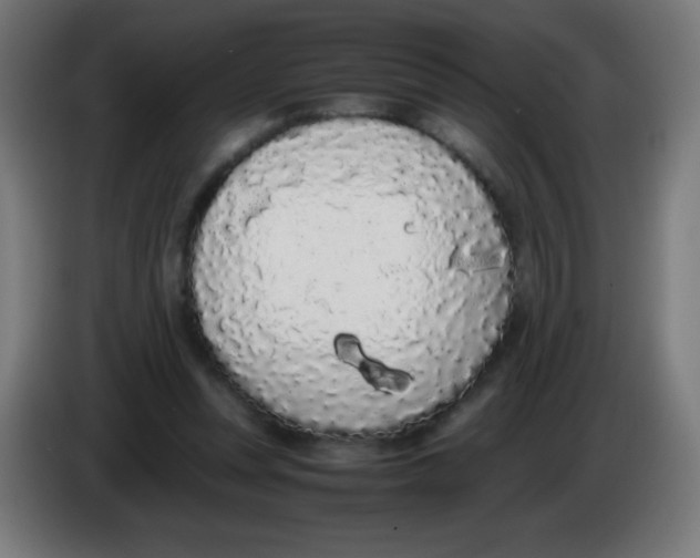 X0000086240351200704261920