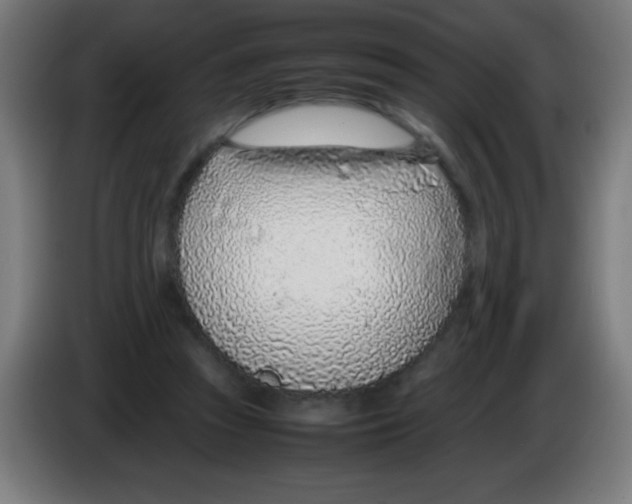 X0000086240353200704261920