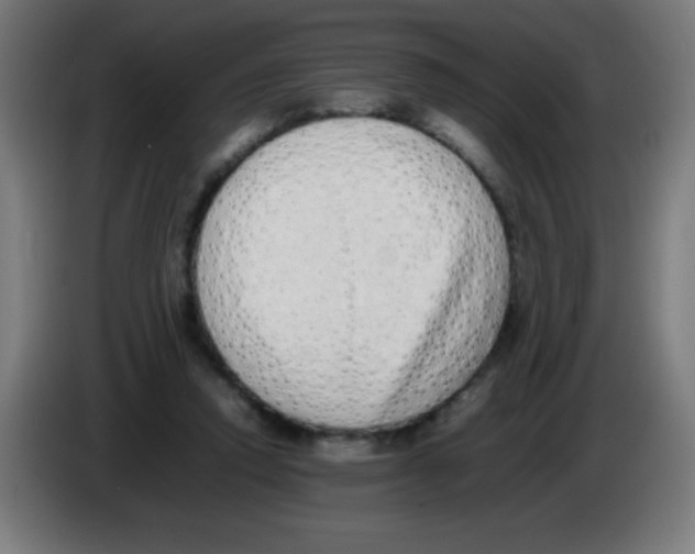 X0000086240354200704261920