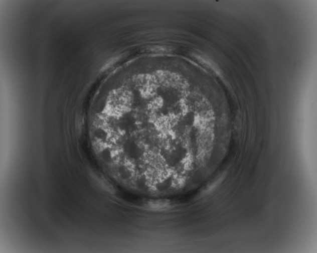 X0000086240355200704261920