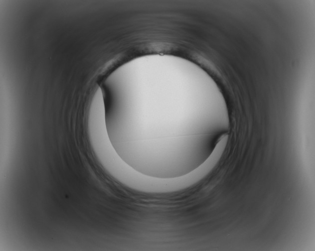 X0000086240356200704261920