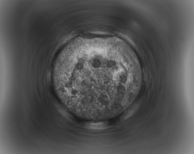 X0000086240357200704261920