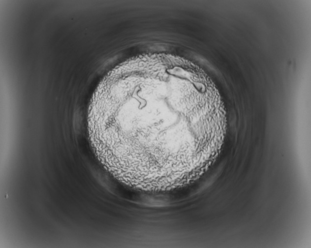 X0000086240359200704261920