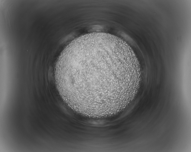 X0000086240361200704261920
