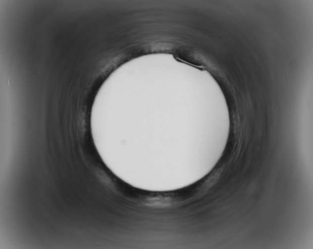 X0000086240362200704261921
