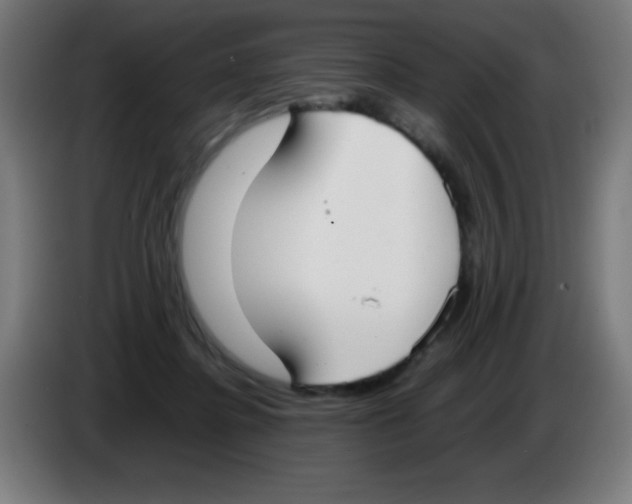 X0000086240364200704261921