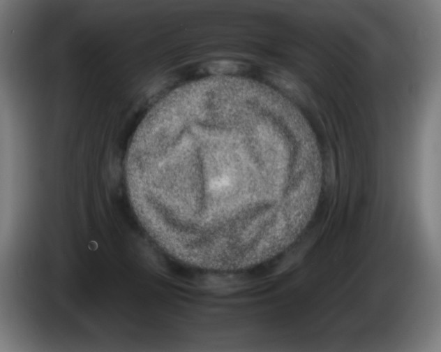 X0000086240367200704261921