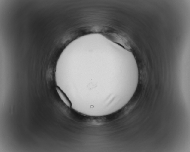 X0000086240368200704261921