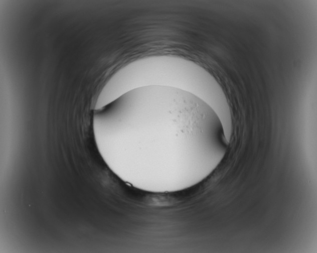 X0000086240372200704261921