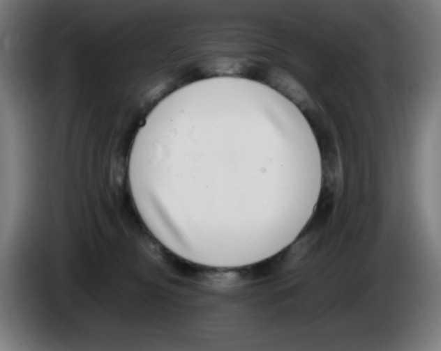 X0000086240374200704261921