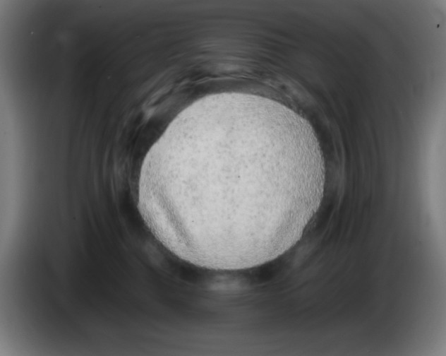 X0000086240376200704261921