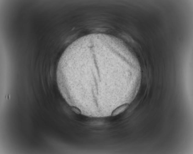 X0000086240377200704261921