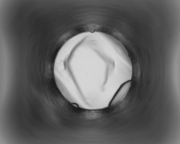 X0000086240378200704261921