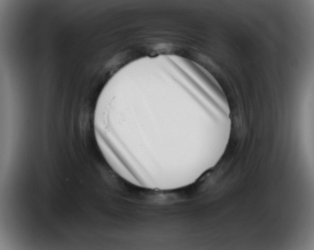 X0000086240379200704261921