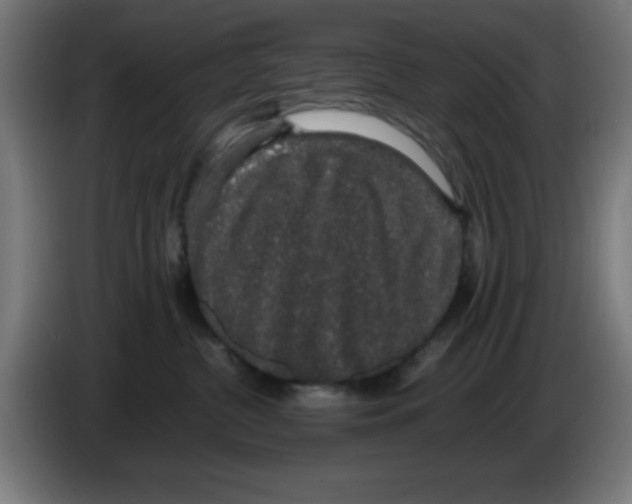 X0000086240380200704261921