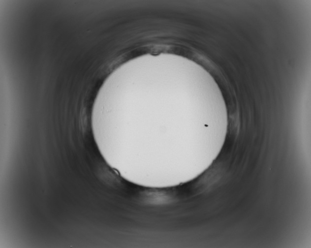 X0000086240381200704261921