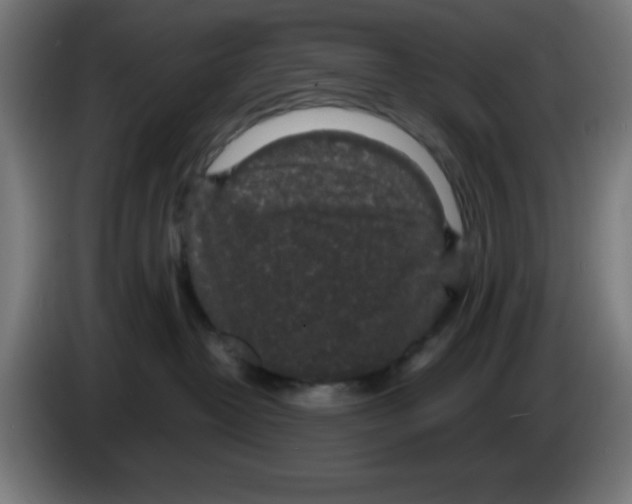 X0000086240382200704261921