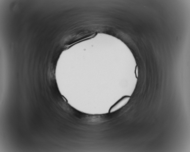 X0000086240384200704261921