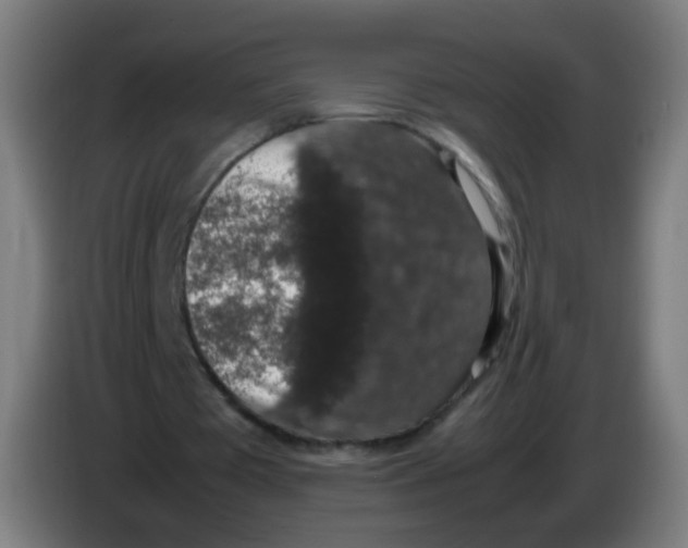 X0000086240385200704261920