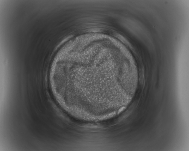 X0000086240386200704261920