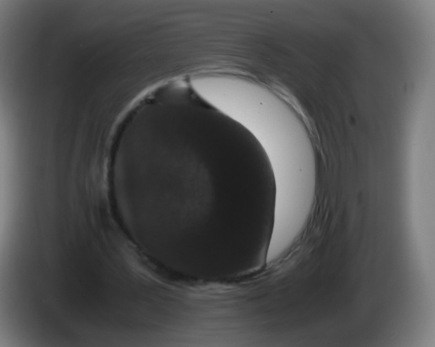 X0000086240387200704261920