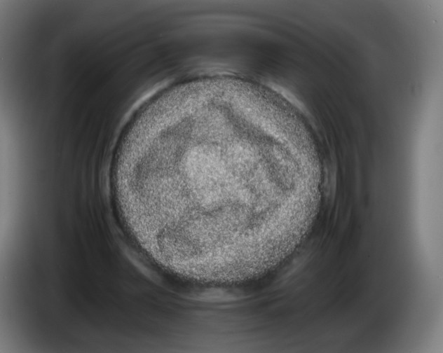 X0000086240390200704261920
