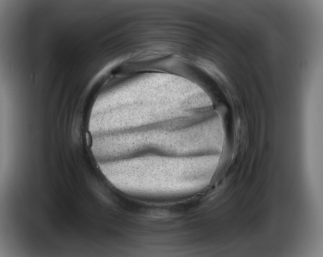 X0000086240392200704261920