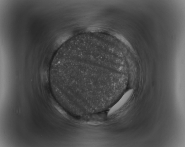 X0000086240393200704261920