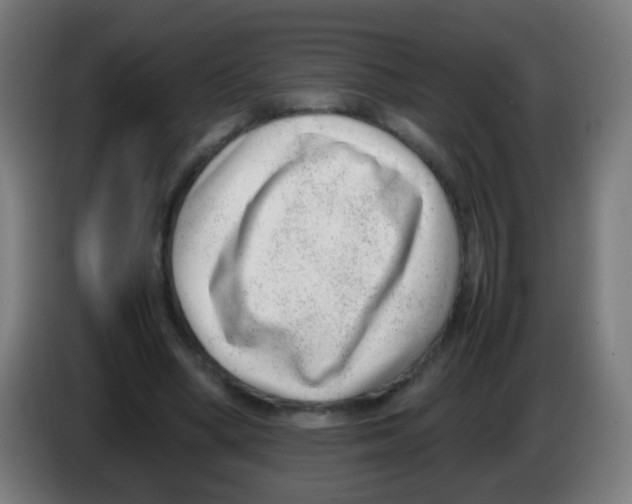 X0000086240394200704261920