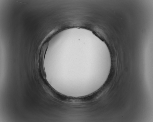 X0000086240395200704261920