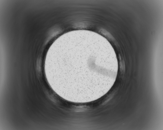 X0000086240396200704261920